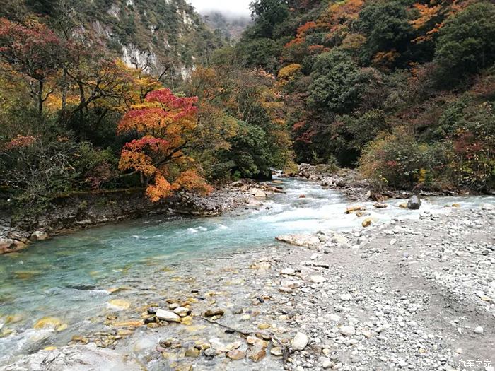 東拉山大峽谷看紅葉兩日遊