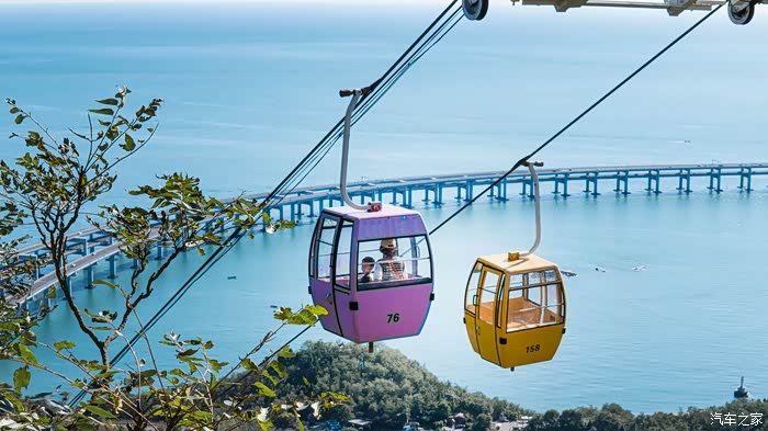 中秋游玩打卡大连第一观景台森林动物园偶遇野生梅花鹿