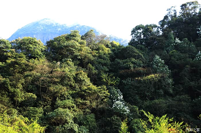 22寸唐dm原厂胎越野挑战福清大化山