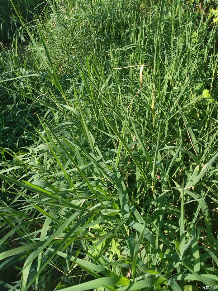 八百里奔袭带老婆孩子回娘家