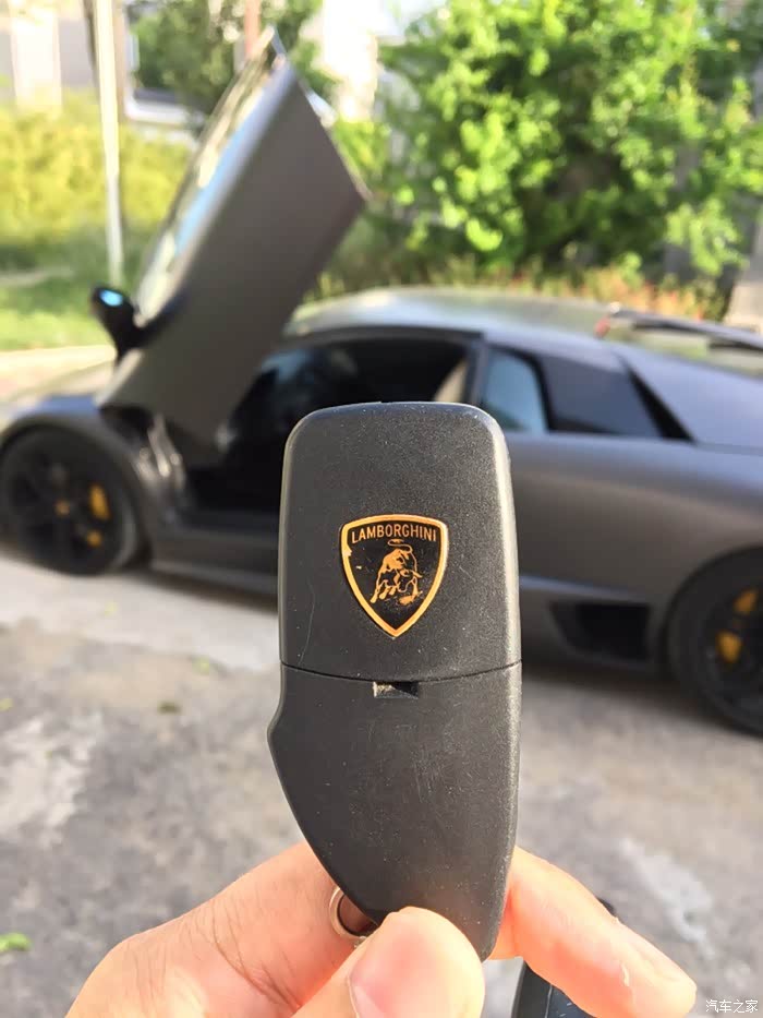 灰蝙蝠一只趁着还不太老求认证