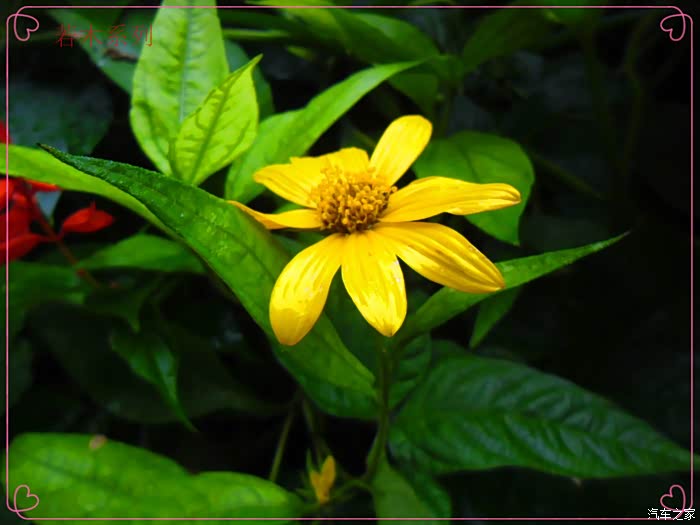 国庆七天乐若木苦并快乐着的国庆暴走记