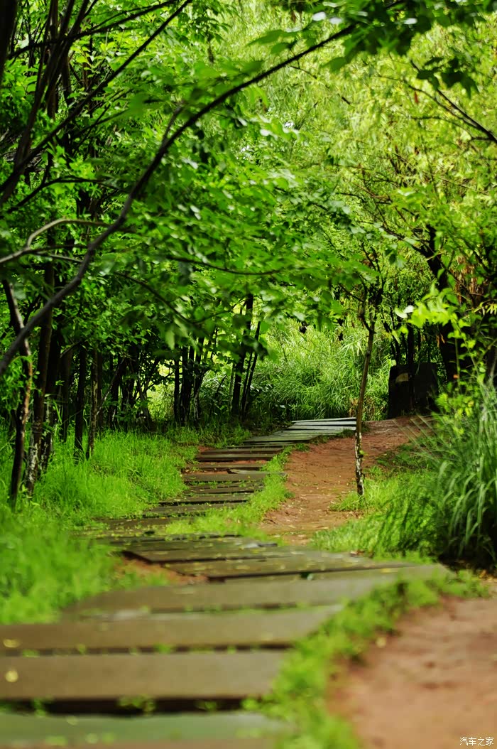 博瑞,博越兄弟同游——西昌美景