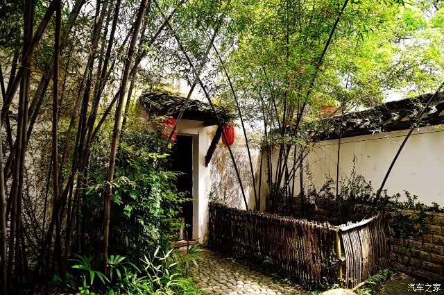 积分大放送严田古樟民俗园