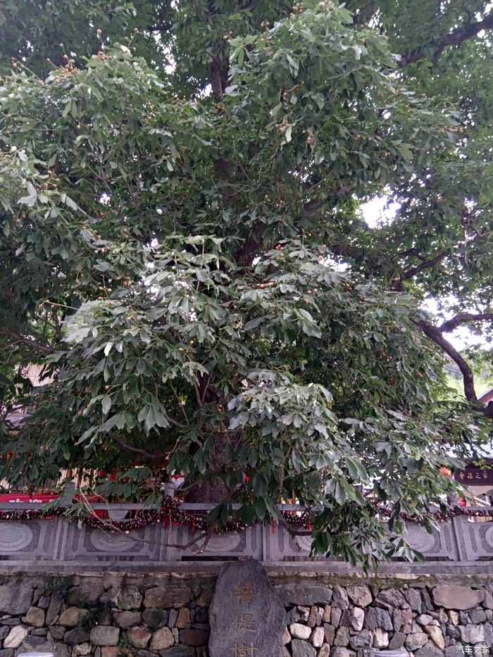 开着v3(中华)去旅行--重渡沟两日游