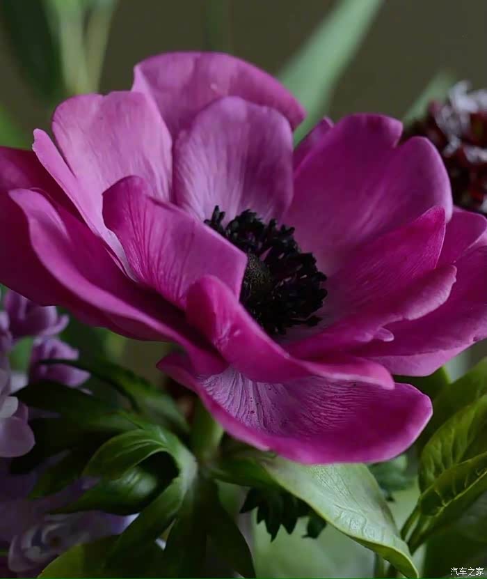 一朵花花送给你