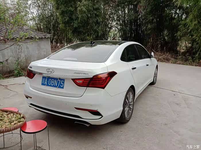 【大展名图】助力名图论坛