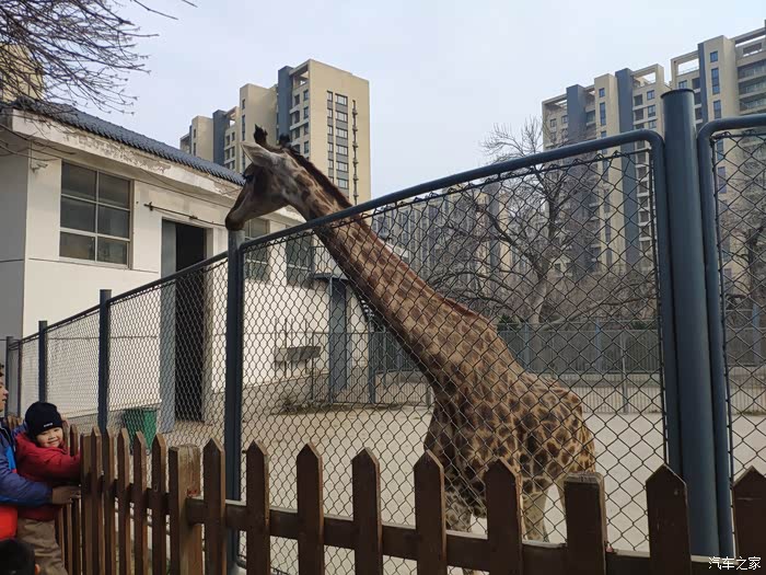积分大放送烟台南山动物园一日游四