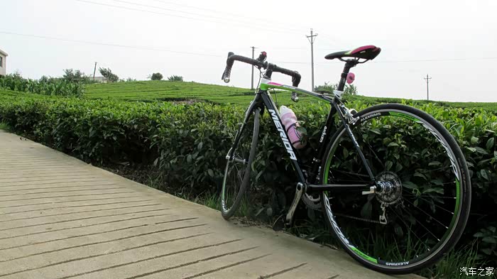 天下武功唯快不破我的美利达公路车斯特拉903