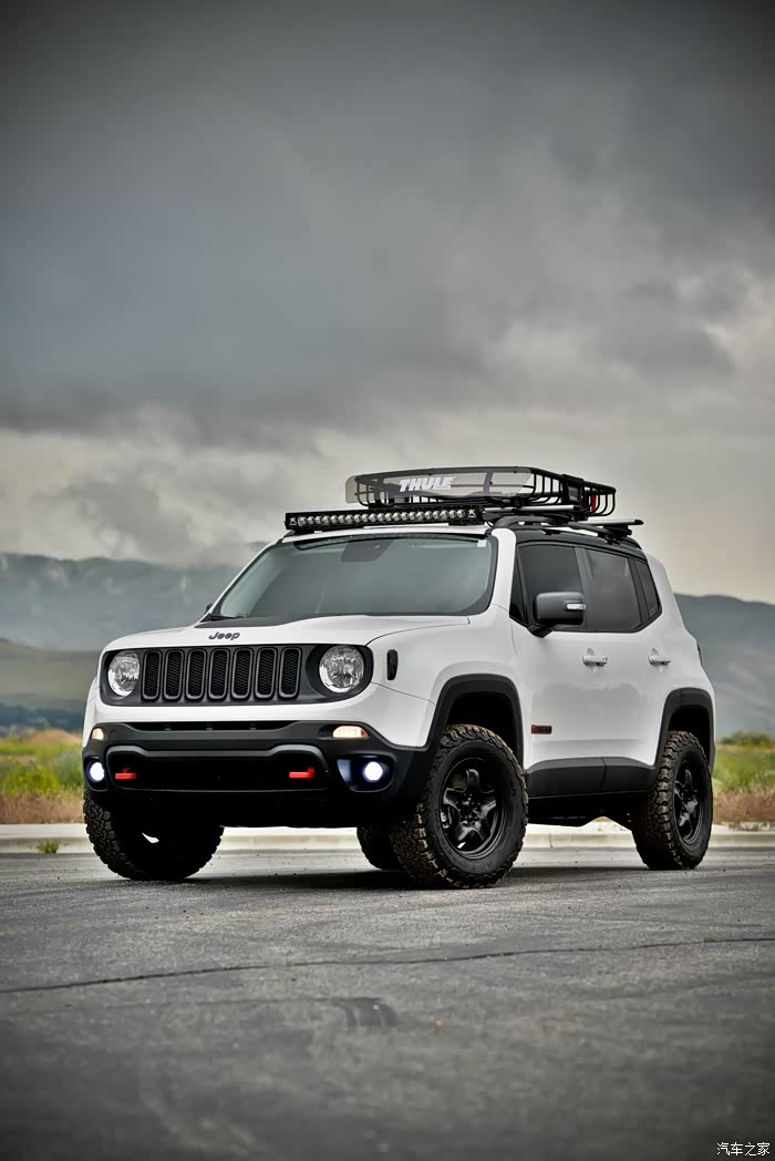 放几张国外自由侠th改装的照片供大家参考研究吧