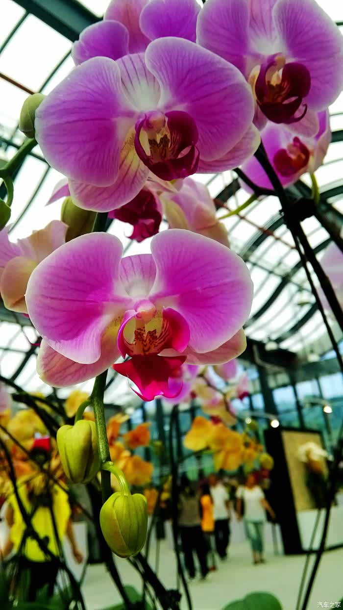 兰花科技园一日游