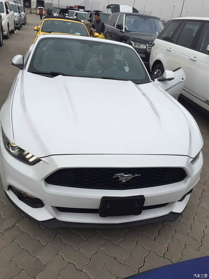 帅气的白色敞篷野马