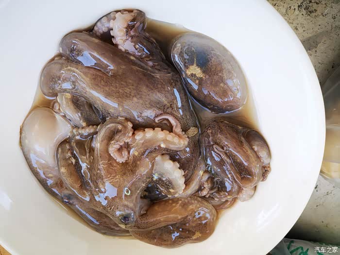 积分大放送沃沃与美食之韭菜烧八带