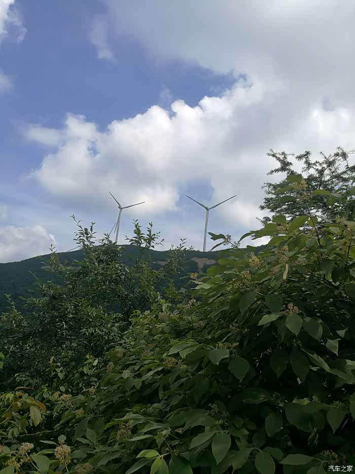 湖南第一台新博与李老鼠的视频的看法!