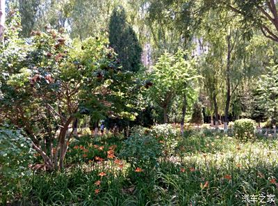 蘭州植物園【1小時遊記】內有更多精彩!_甘肅_手機汽車之家