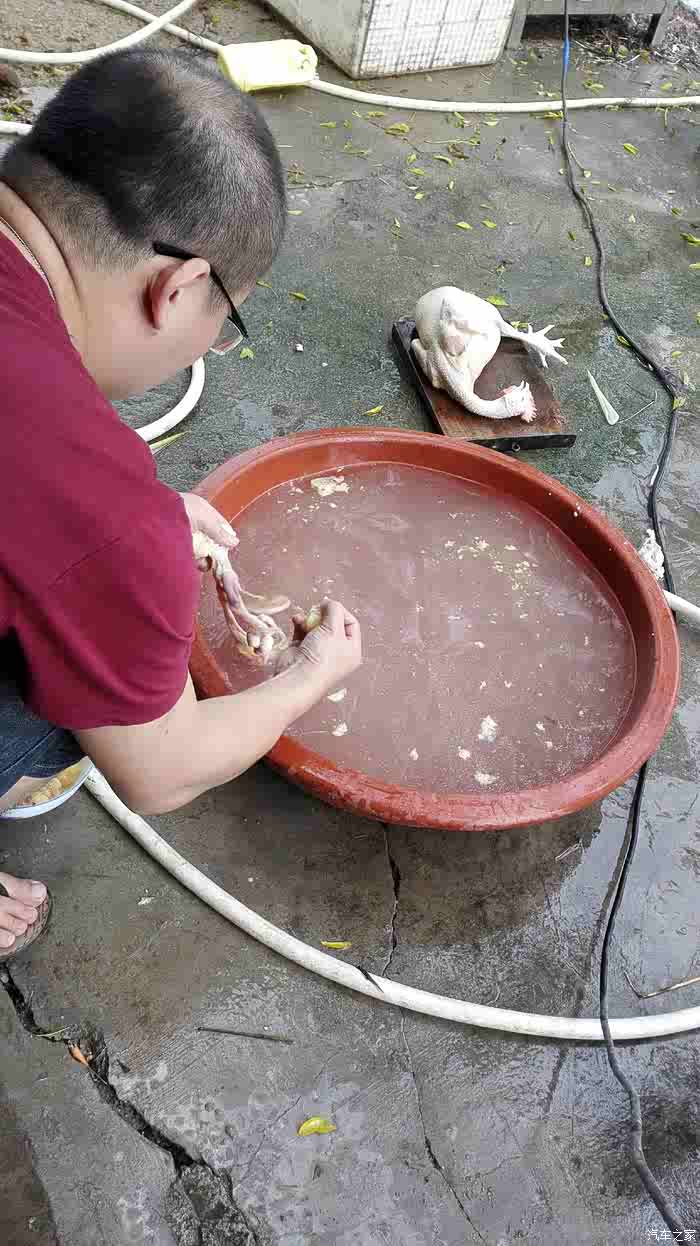 秋雨拂草石音坝开心农场处处蛙.烧烤美色乐分享别离再邀客临家
