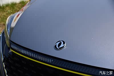 不喜欢这个车标,感觉整个颜值部分,东风的车标是最多余的,风神的车标