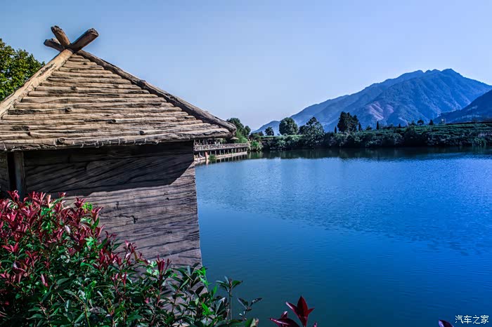 小狼洗白白拉出来溜溜