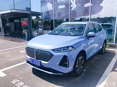 魏派玛奇朵,年轻人的 千里玛