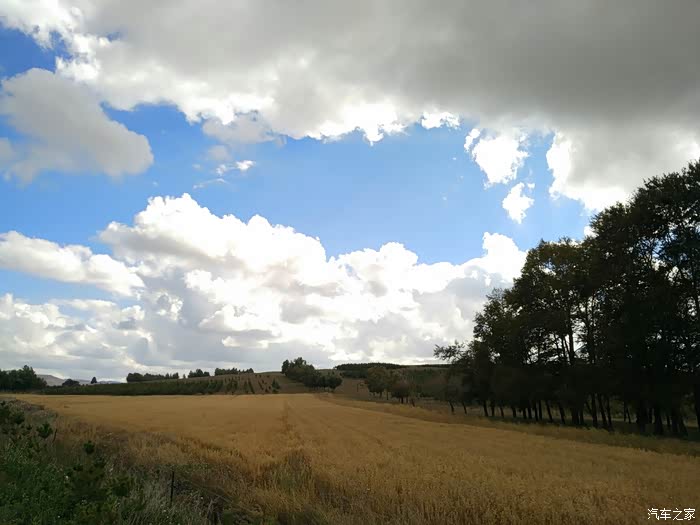 239国道张承高速