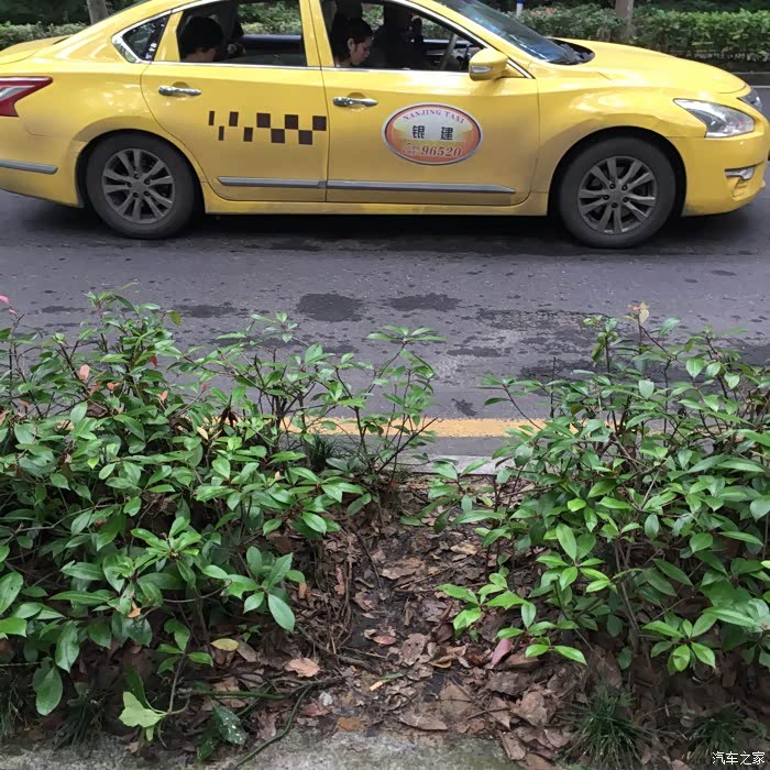 【图】好想打一把,感受一下出租车的感觉_天籁论坛_汽车之家论坛