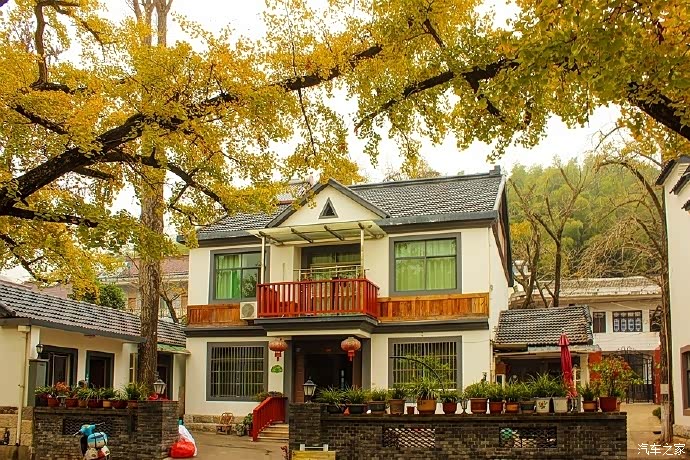 积分大放送不虚此行的旅游十里古银杏长廊之方一村