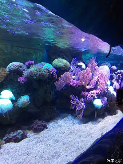 2000里路云和月!(湖南常德石门县-江西九江庐山)