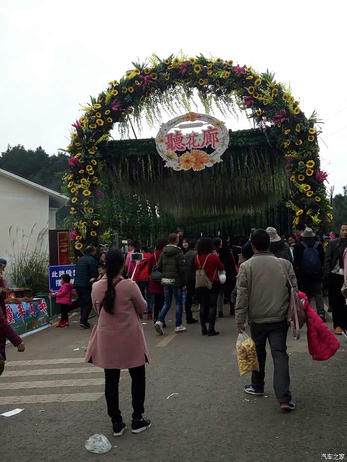 非常热闹,向日葵的大拱门.看起让人心旷神怡,忍不住拍照.