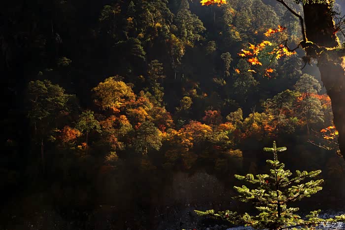 醉山醉美醉红枫【自驾羊大垴】
