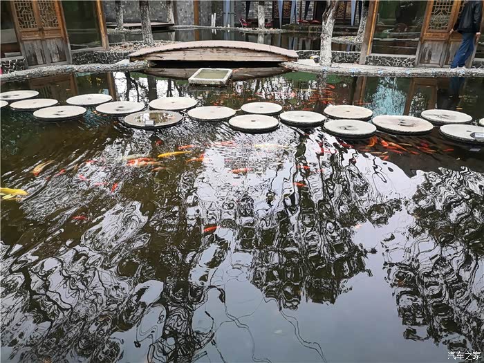 周末打卡网红生态园七彩莲园值得一游