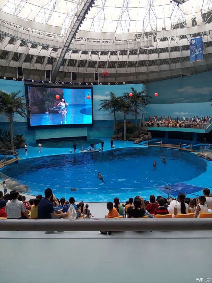 都江堰景区青城后山成都极地海洋公园游