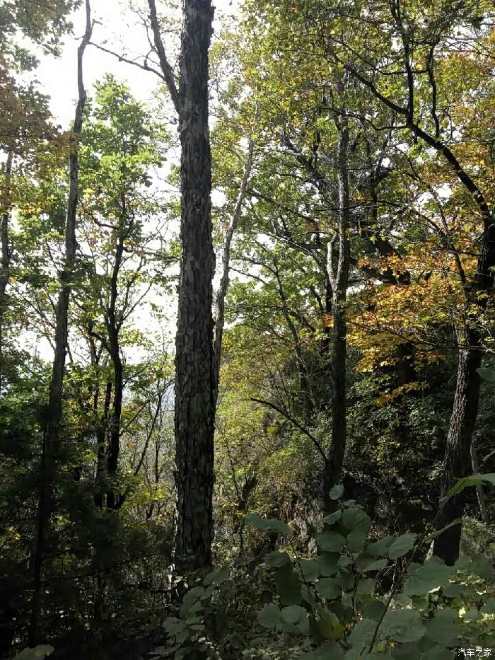 哈尔滨市冰城cs35车友会哈尔滨吊水壶公园一日游