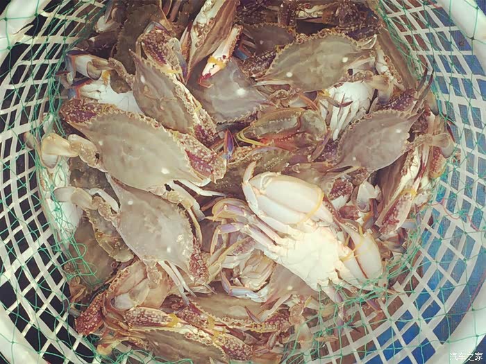 猜猜这一筐螃蟹多钱?