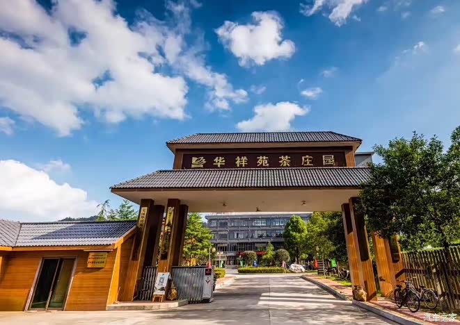 名爵mg3自驾游华祥苑生态茶庄园茶香景美