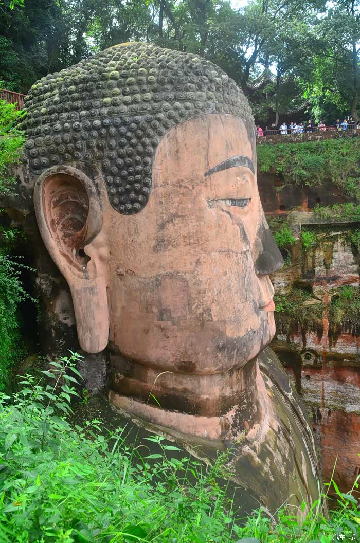 小白普拉斯陪伴游览乐山大佛