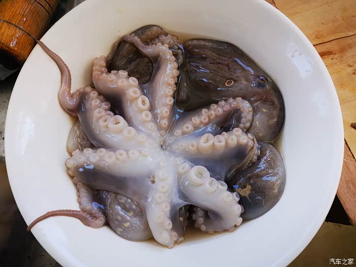 积分大放送沃沃与美食之韭菜烧八带