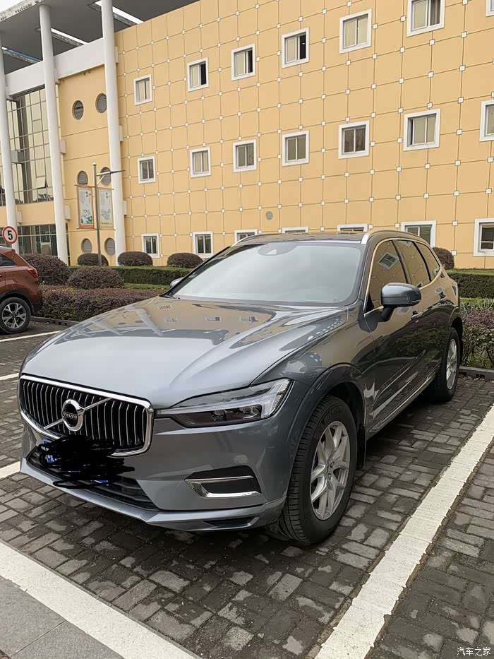 请问论坛里有没有朋友有幻夜银的照片?