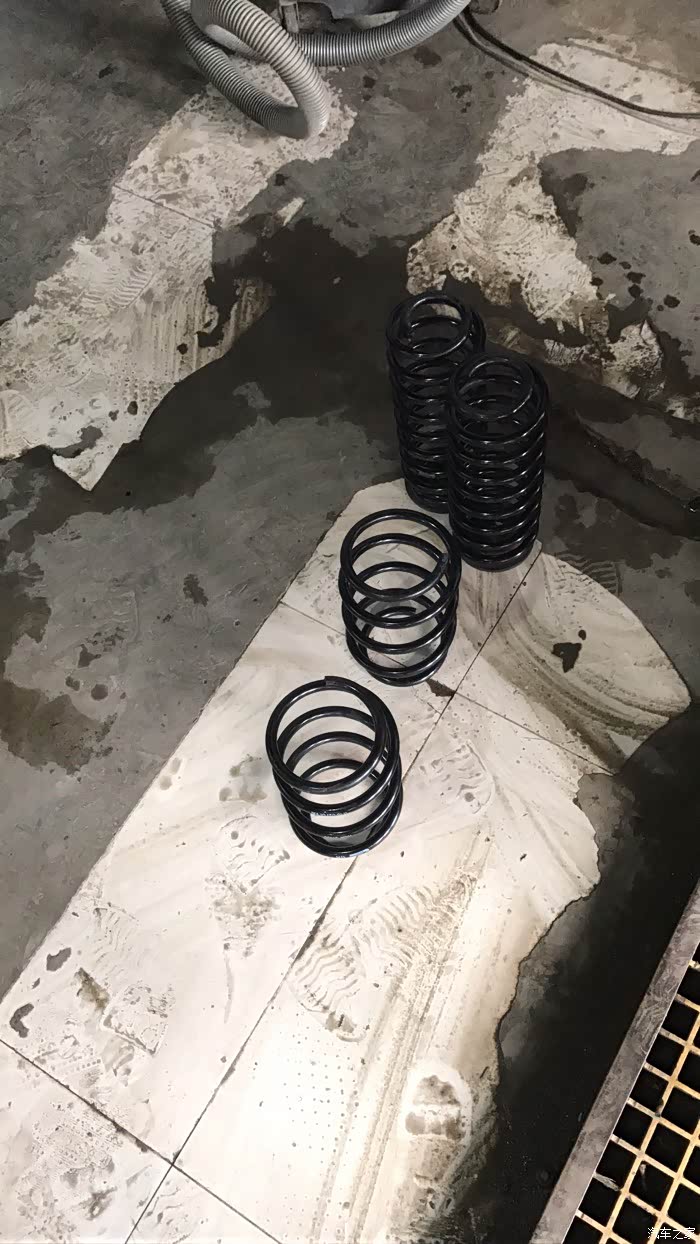 人中泰迪#老高的故事