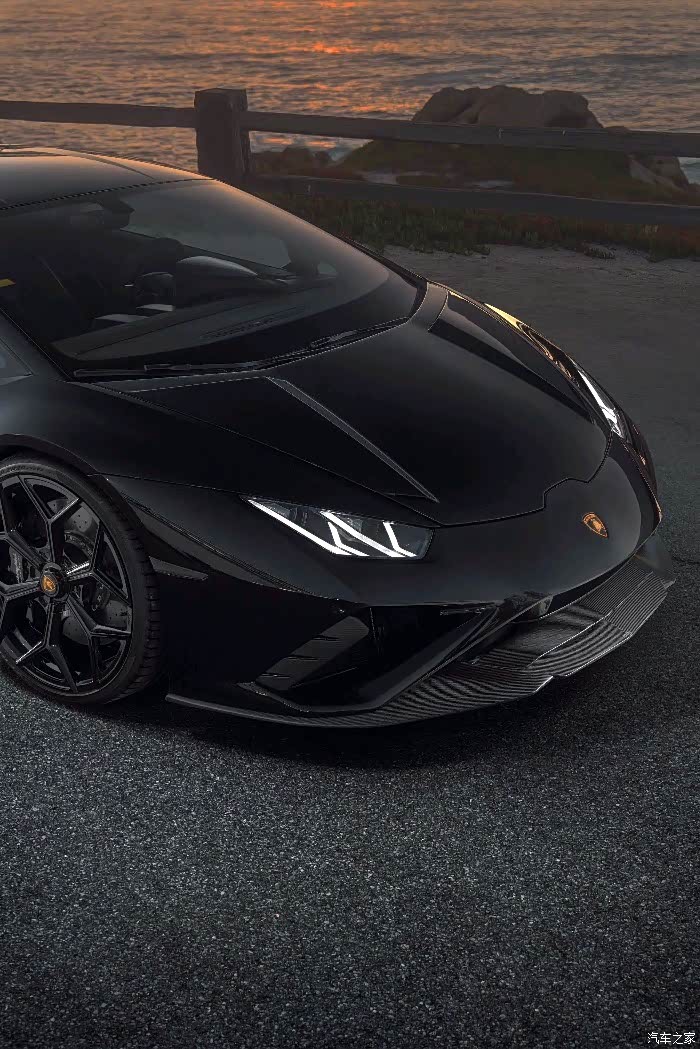 黑色的兰博基尼,远看一匹大黑马.