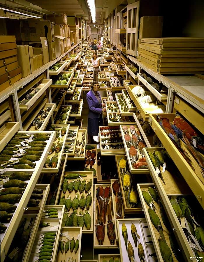 博物馆的储藏室