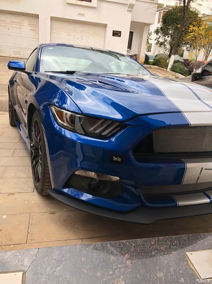 谢尔比gte已提车提的是一种情怀更新提车记