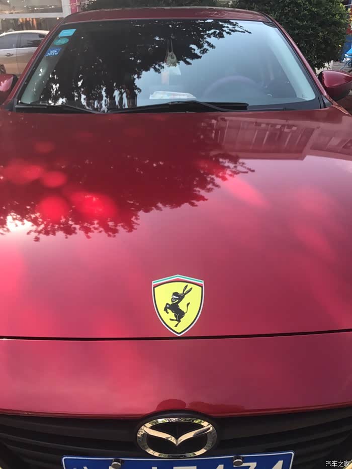 偶遇车友.法拉驴!