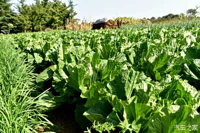 不负等待的白龙马-宝骏510自动挡买家秀