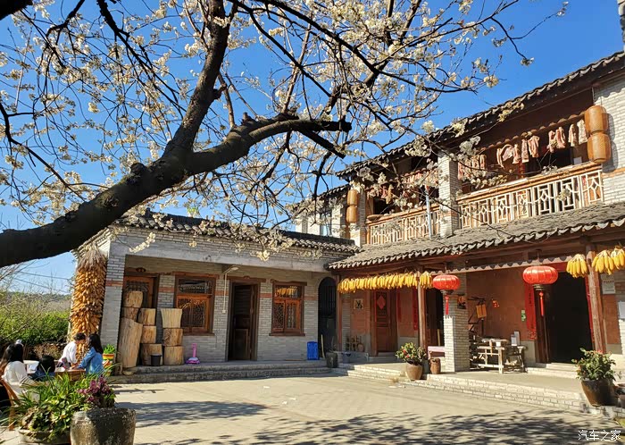 万物复苏送福利三月的樱桃小镇空气中都飘着淡淡的花香