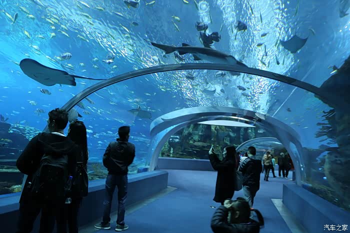 【积分大放送】珠海长隆海洋世界之旅7