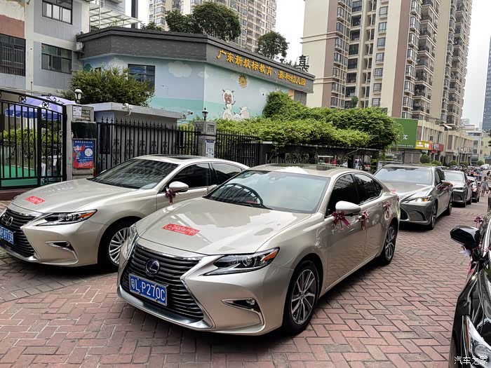 雷克萨斯接亲队你见过没