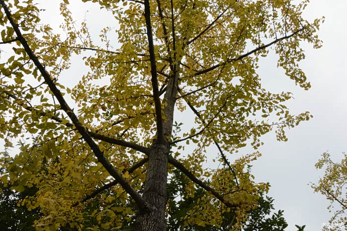 开新菲游北碚科技园健身梯