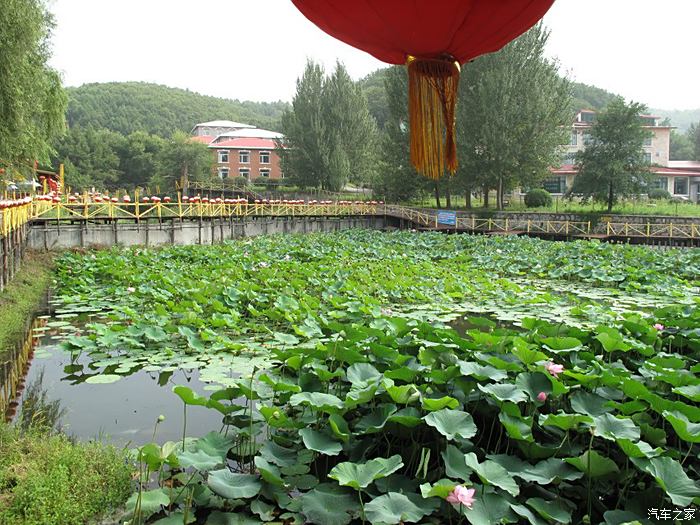 开原珍惜植物园清河龙泉山庄