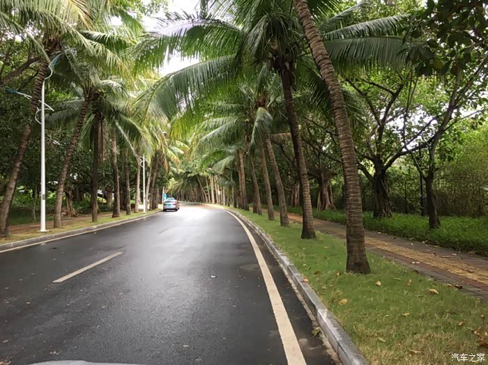 天天看到雾霾这两个字我在三亚雾霾是什么