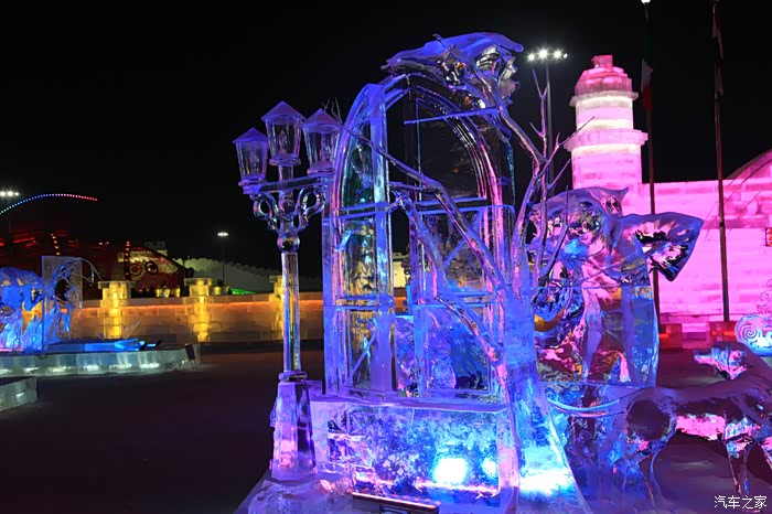 2016哈尔滨冰雪大世界掠影【首页及精选日报】